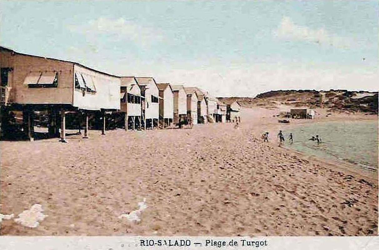 Rio salado  610.jpg